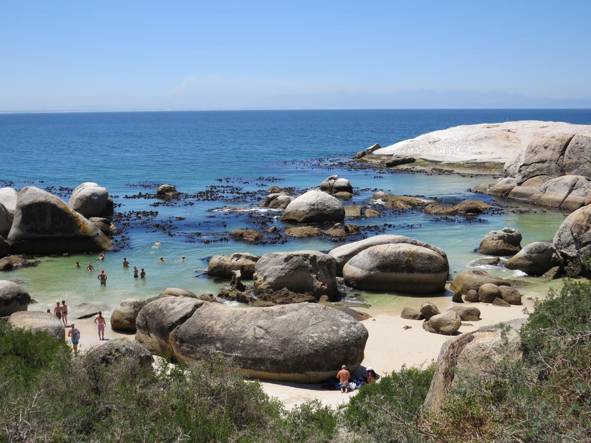 Penguins View Guesthouse Simon's Town Eksteriør billede
