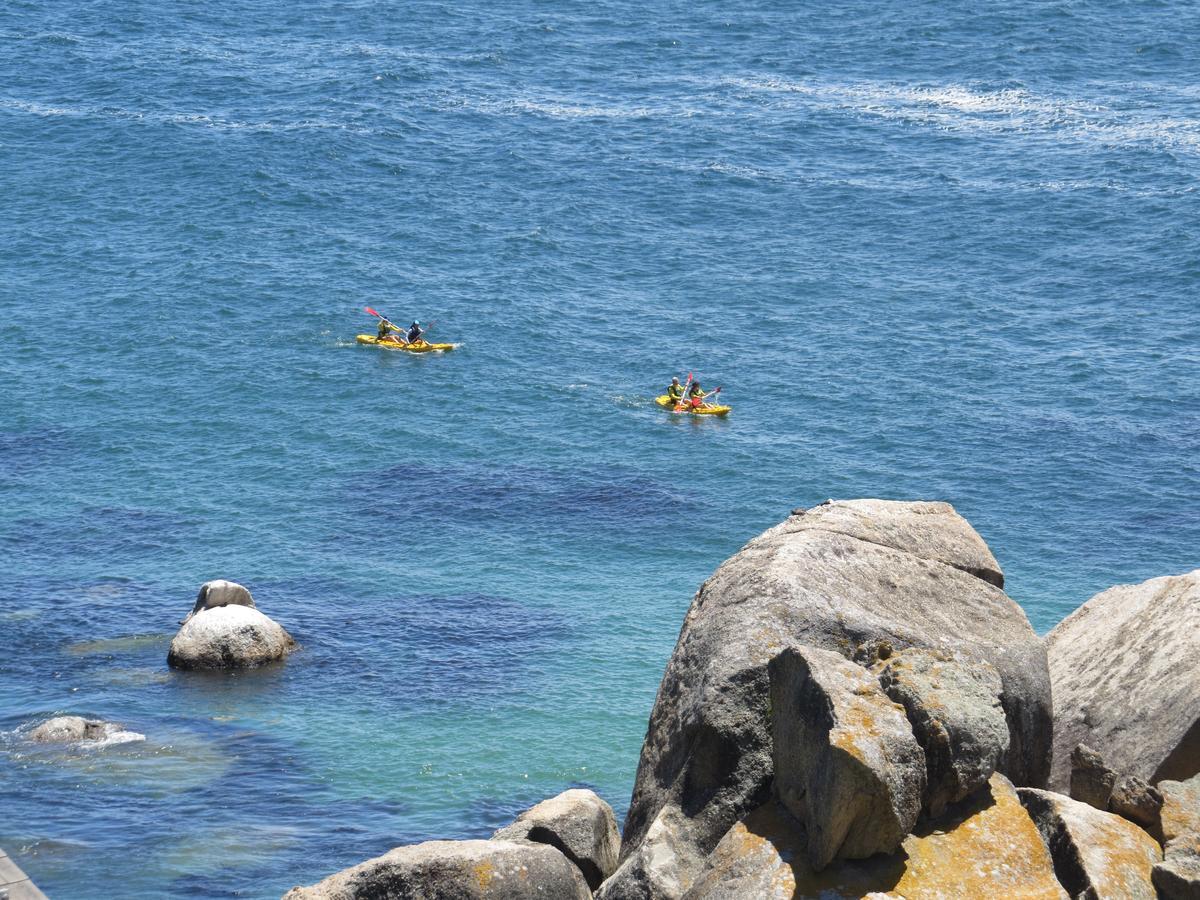 Penguins View Guesthouse Simon's Town Eksteriør billede